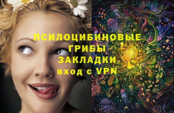 метадон Беломорск