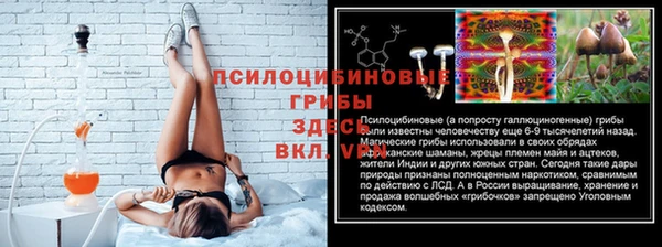 метадон Беломорск