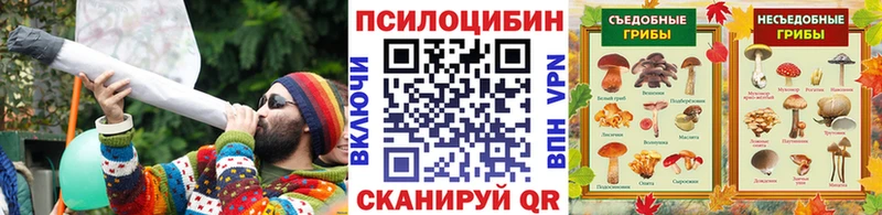 Галлюциногенные грибы Psilocybe  Кузнецк 