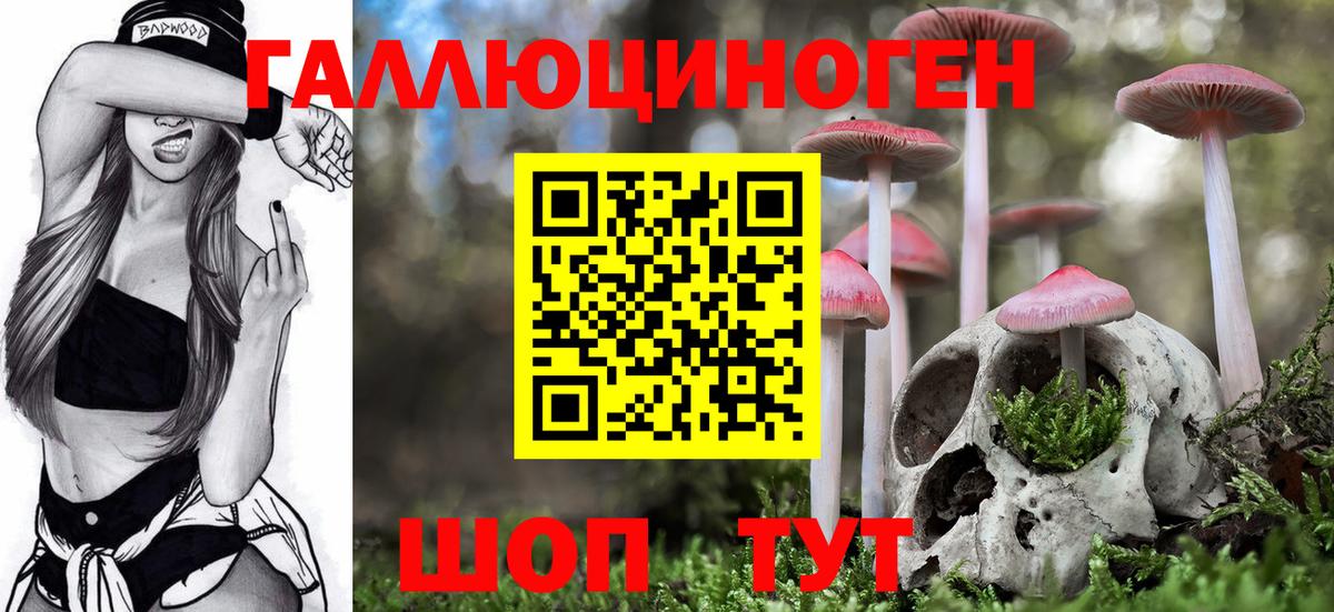 Псилоцибиновые грибы Cubensis  Вход с VPN  Кузнецк 