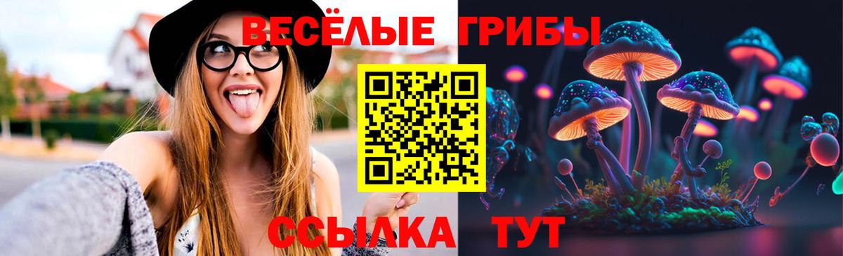Псилоцибиновые грибы прущие грибы Кузнецк